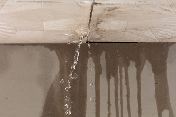 Professional Sewage Cleanup technician working in Buhl, AL
